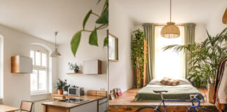 Jak zadbać o rośliny podczas upałów