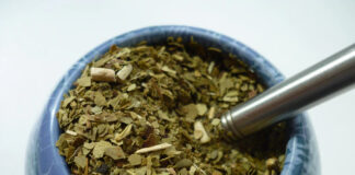 Yerba mate