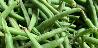 Jak jeść zdrowo i zawsze czuć się dobrze