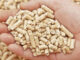 Pellet drzewny