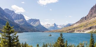 Co to są parki narodowe i jakie są ich cele?