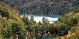 Dlaczego parki narodowe są ważne dla naszej planety?