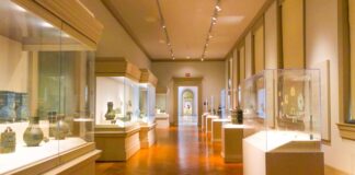 Czym różnią się wystawy stałe od czasowych i jakie mają znaczenie dla muzeów i galerii?