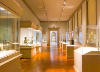 Czym różnią się wystawy stałe od czasowych i jakie mają znaczenie dla muzeów i galerii?