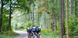 Wycieczki rowerowe z dziećmi