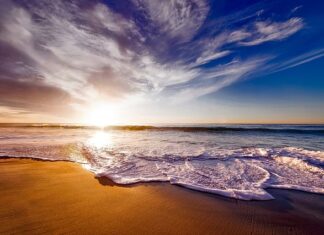 Co daje picie wody z cytryna i miodem na czczo?