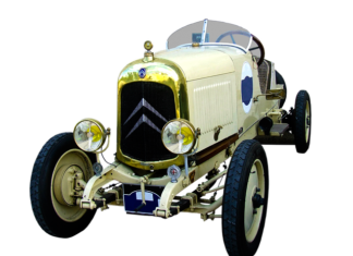 W jakim owocu jest B12?