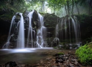 Jaki powinien być przepływ wody w akwarium?