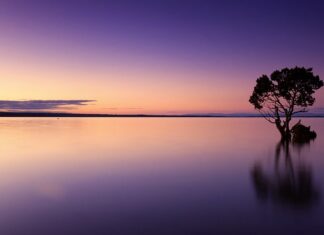 Czy Natleniać wodę w akwarium?