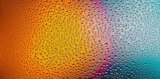 Dlaczego trzeba myć cytrusy?