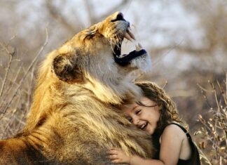 Jaka jest najlepsza belgijską czekoladą?