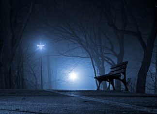 Czy są polskie chipsy?