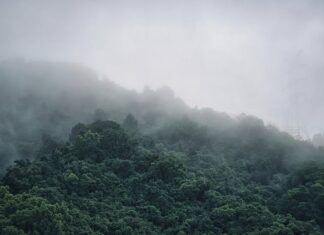 Jak zrobić gęstą czekoladę do picia?
