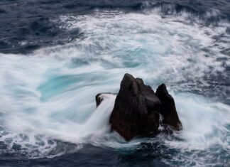 Jaka jest ceną Rafaello w Biedronce?