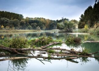 Czy na Słowacji jest taniej niż w Polsce?