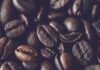 Z jakiego kraju najlepsza Arabica? Z jakiego kraju najlepsza Arabica?