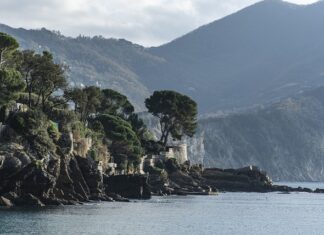 Ile kosztuje cukier we Francji?