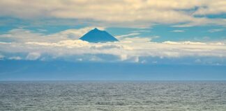 Co jeść aby uspokoić jelita?