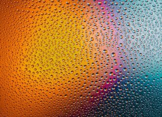 Jak myć cytrusy w domu?