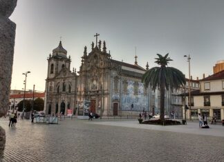 Czym można zastąpić karmę dla rybek?