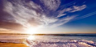 Jak utrzymać biały piasek w akwarium?