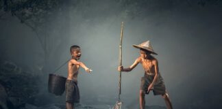 Jakie są tradycyjne polskie ciasta?