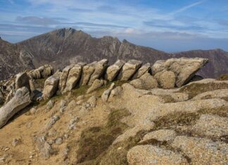 W jakiej kolejności układać wkłady do filtra kubełkowego?