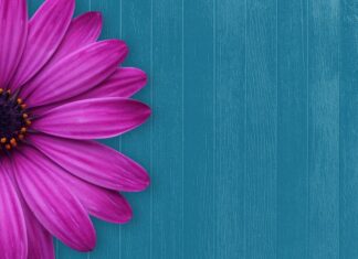 Czym zaskoczyć gości na weselu?