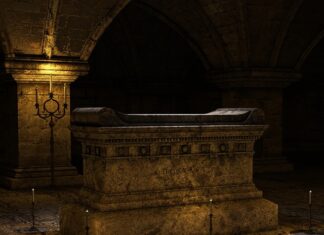 Jak często zmieniać wodę w akwarium bez filtra?