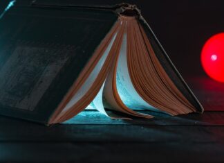 Co najlepiej włożyć do filtra w akwarium?