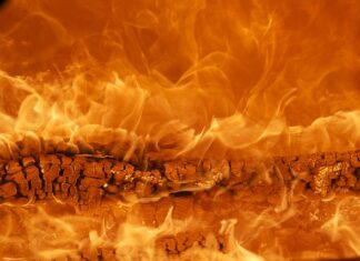 Kto jest właścicielem marki Lays?