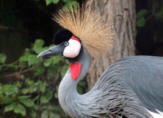 Co robić by nie mieć ochoty na słodycze?