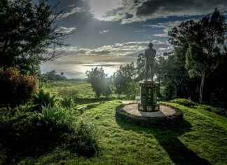 Do kogo należy roshen?