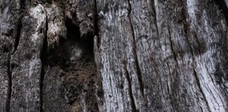 Jaki kamień do napowietrzania?