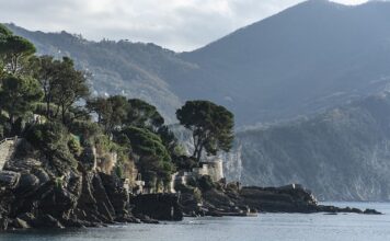 Ile kosztuje tort na 30 osób?