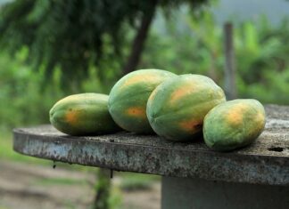 Kto produkuje Milky splash?