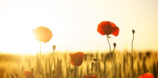 Ile mąki na jeden chleb?