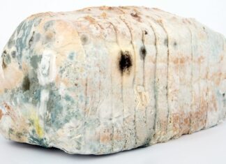 Jak Dezynfekowac akwarium?