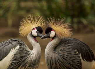 Jak pierzesz ciemne ubrania aby zachowały kolor na dłużej?