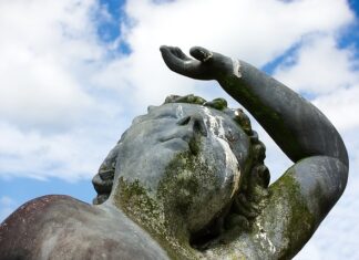 Co z odchodami ryb w akwarium?