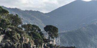 Ile kosztuje 10 kg cukru?