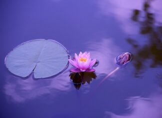 Czego nie lubią stawy?