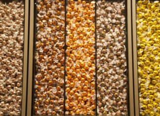 Co to znaczy Lindor?