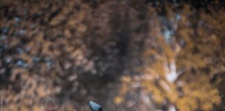 Kaski Airoh. Czym różnią się modele do miasta, trasy i crossa kask